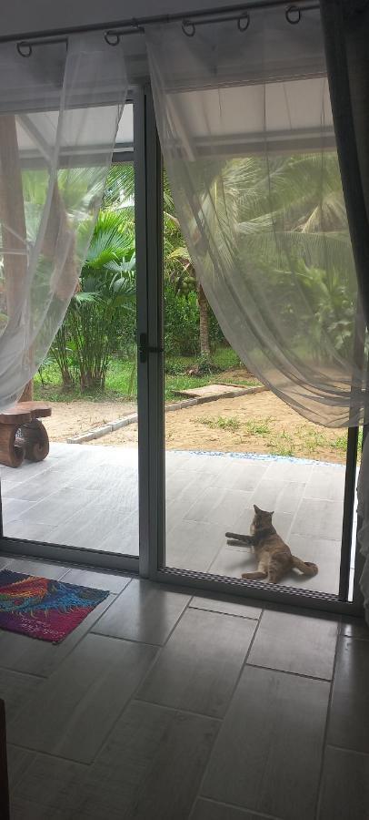 Casa Katharina Villa กาอุยตา ภายนอก รูปภาพ